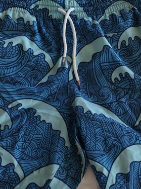 RSVLTS hybrid land or water shorts sz small